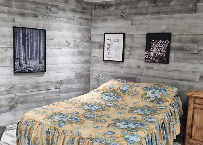 Maison Au Pied Du Pic Du Midi *